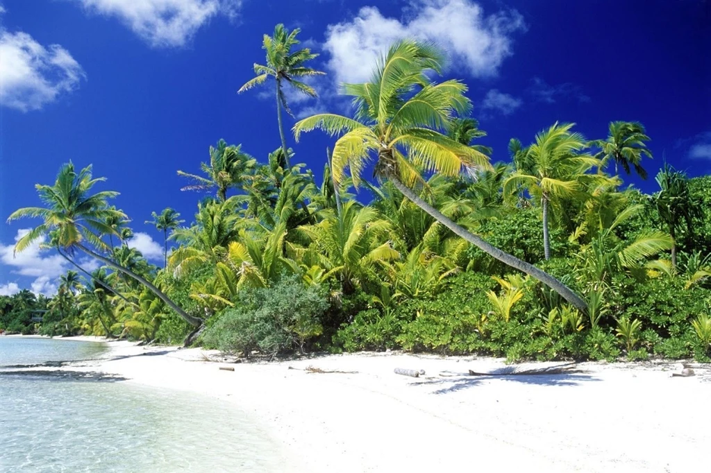 Wallpapers For PC Download HD Wallpapers Pretty