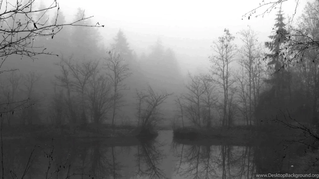 Darkthrone Transilvanian Hunger YouTube