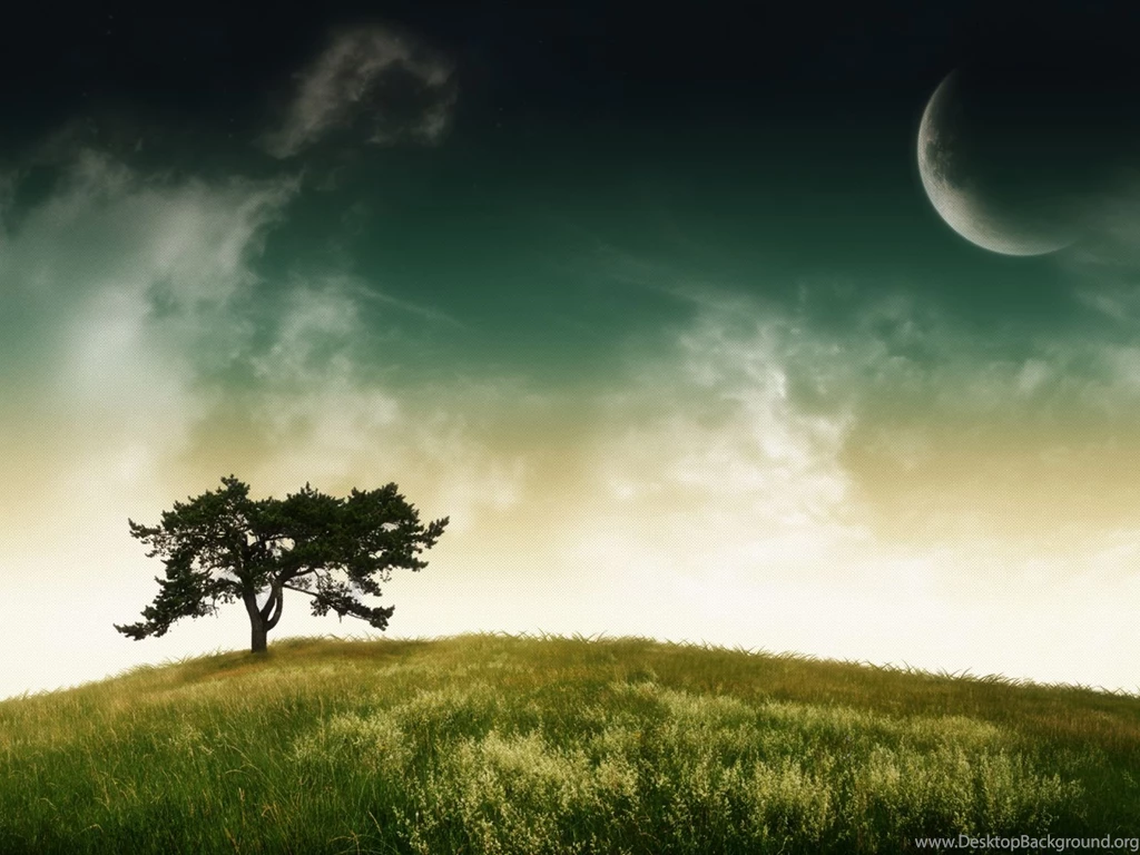 Full HD Wallpapers + Nature, Trees, Green