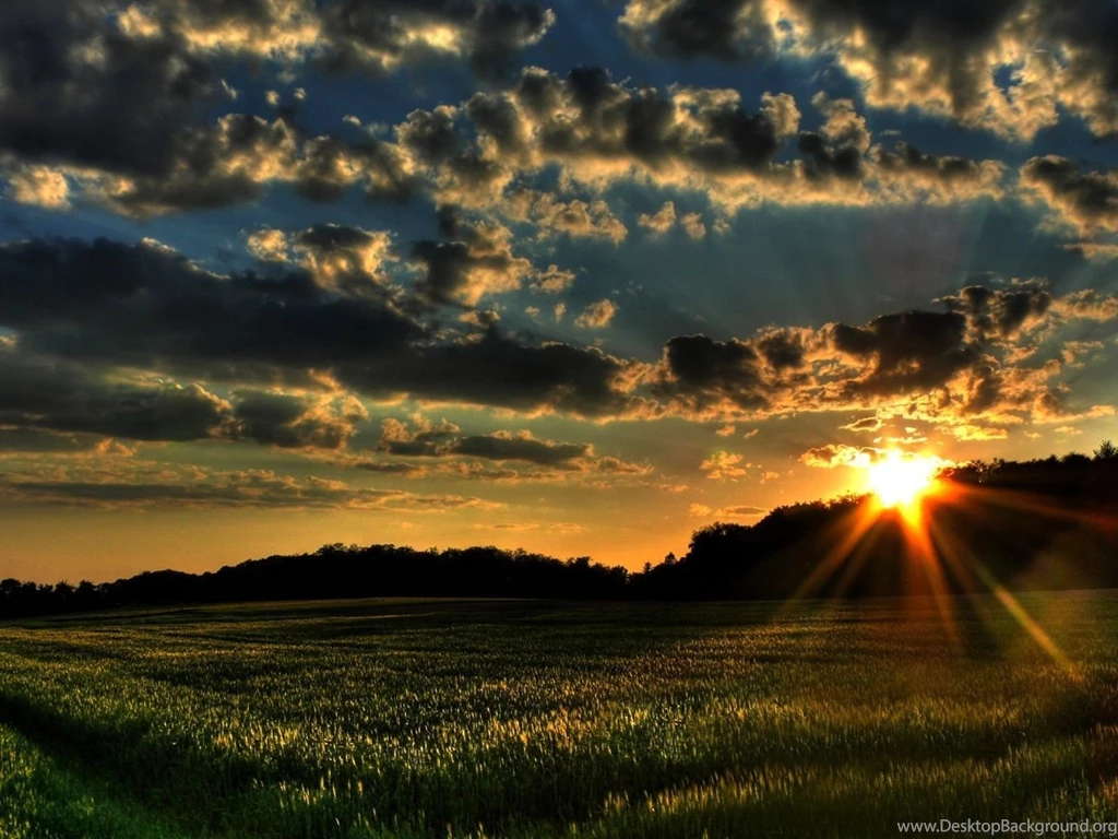 Morning Nature Spring Wallpapers