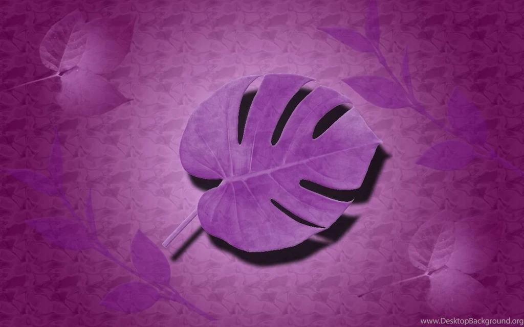 Purple Wallpapers Free Photos: Purple Wallpapers