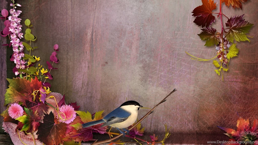 Birds Fall Flowers Bird Twig Autumn Grapes Thanksgiving Chickadee ...