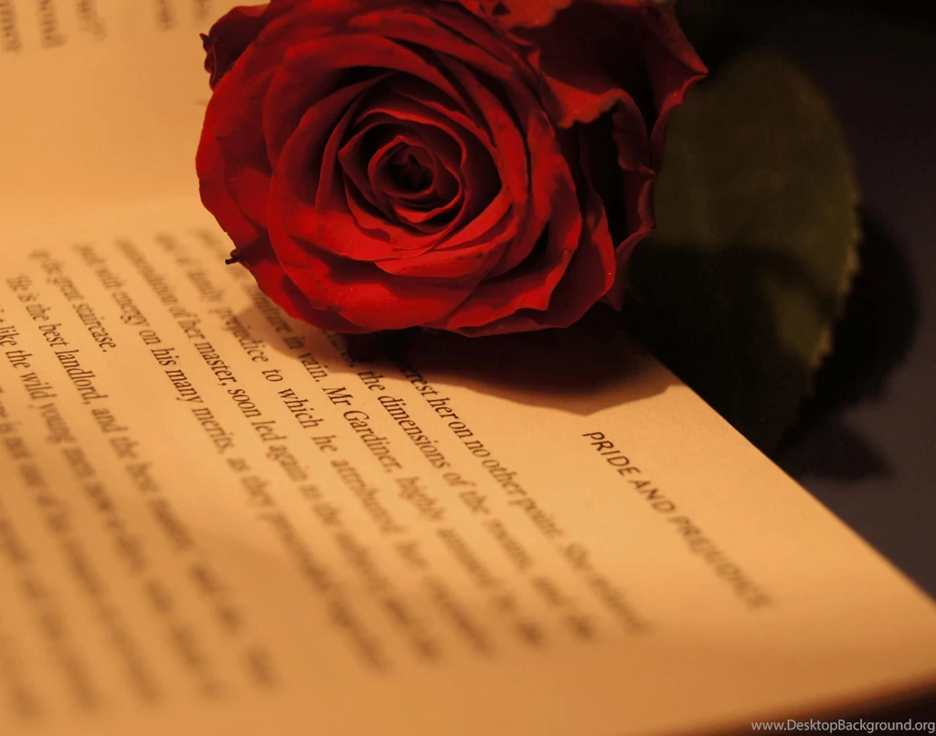 PRIDE AND PREJUDICE WALLPAPER (