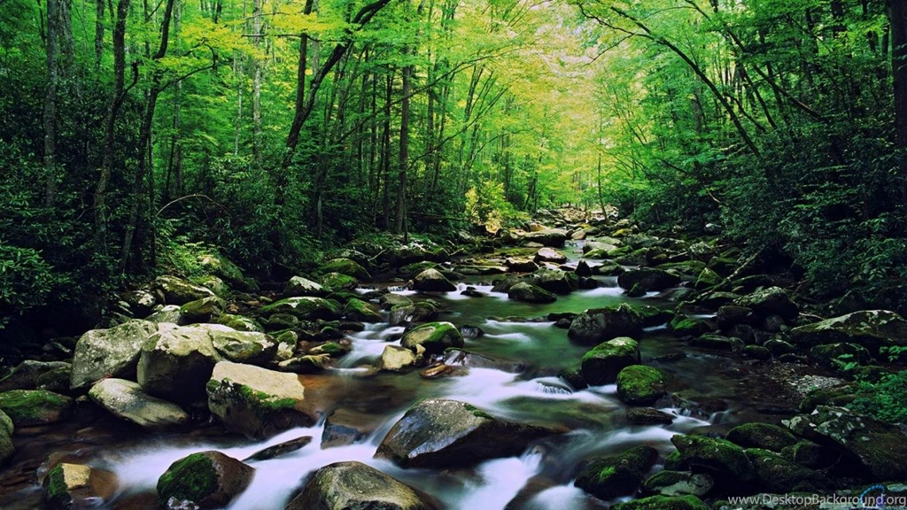 Gallery For Free Wallpapers Smoky Mountains