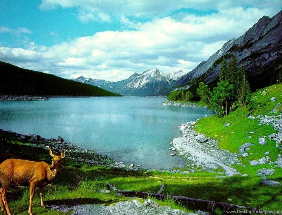 Gallery For   Desktop Mountain Wallpapers