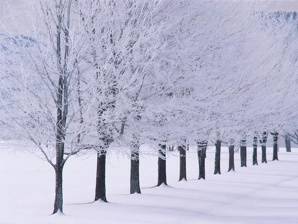 Winter Road Covered With Snow Free Desktop Backgrounds Free