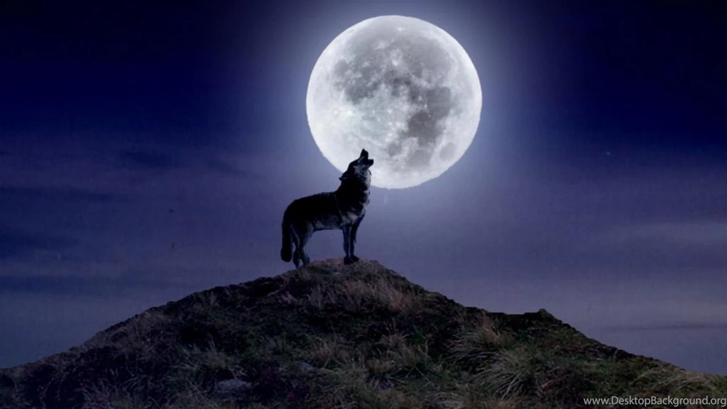 HOWLING WOLF WALLPAPER (