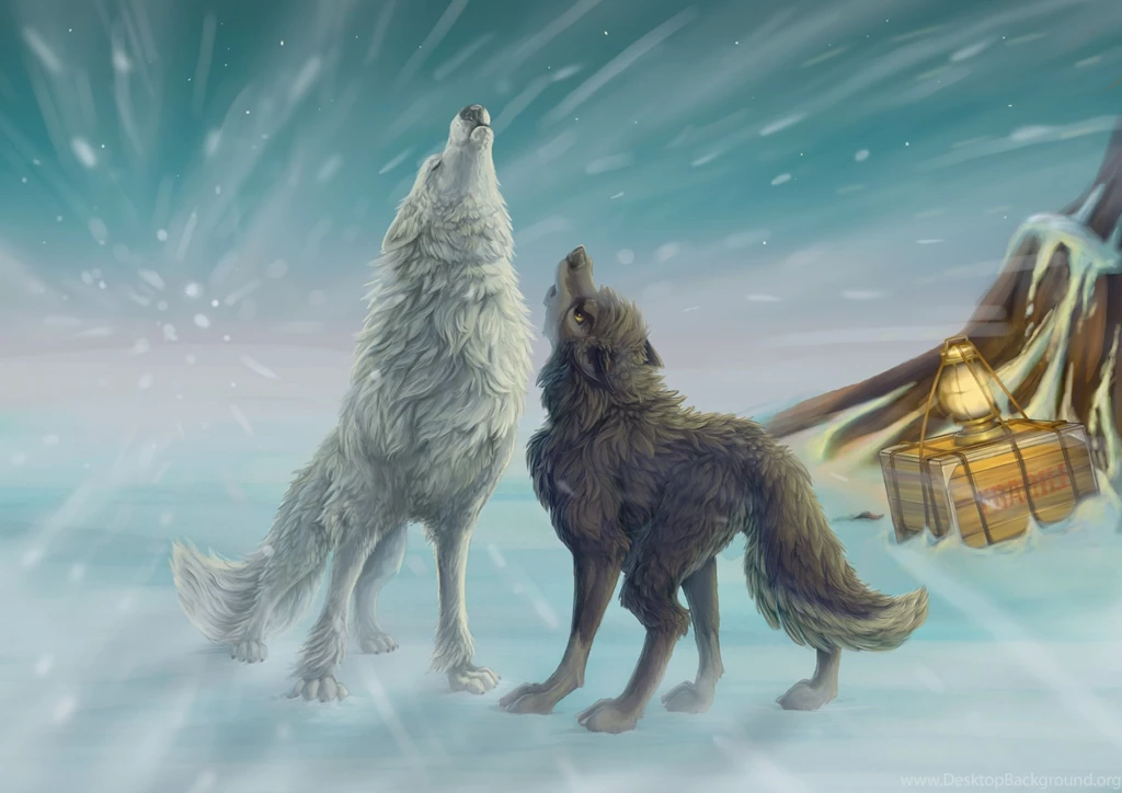 Wolf Howl Drawing Wallpapers