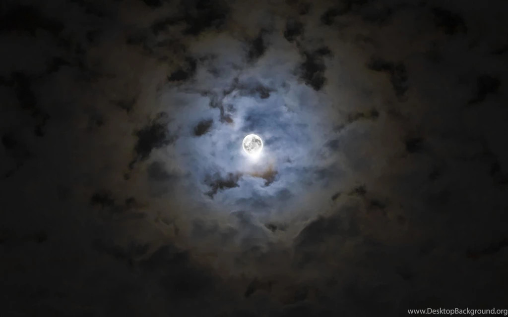 Download Halloween Moon Backgrounds HD 7709 1920x1200 Px High ...