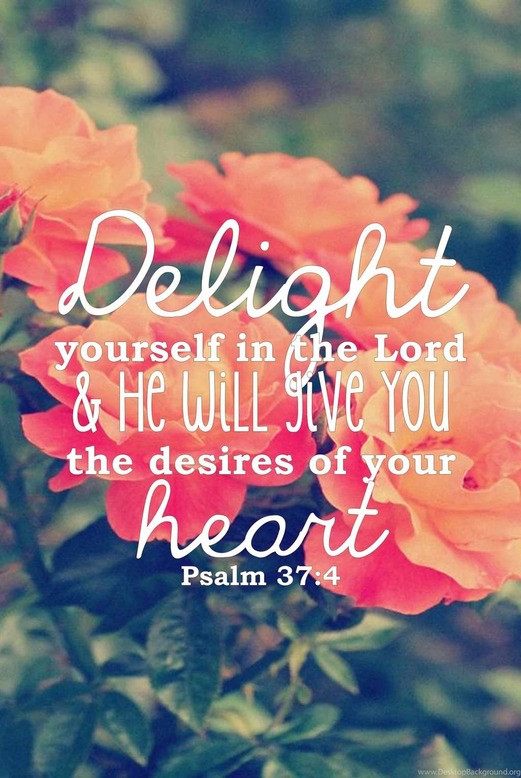 Phone Backgrounds Hd Tumblr Android Pinterest Iphone Quotes For ...