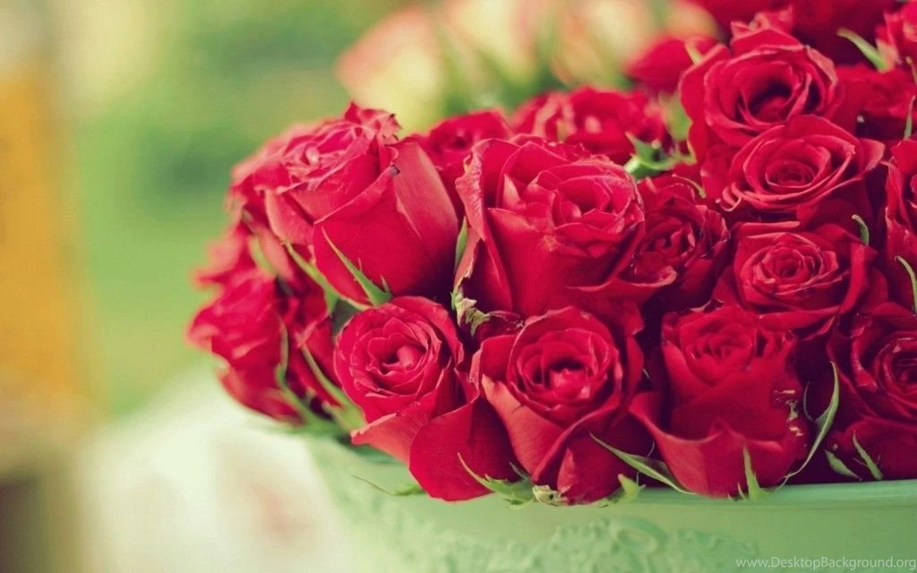15 Gorgeous HD Roses Wallpapers HDWallSource.com