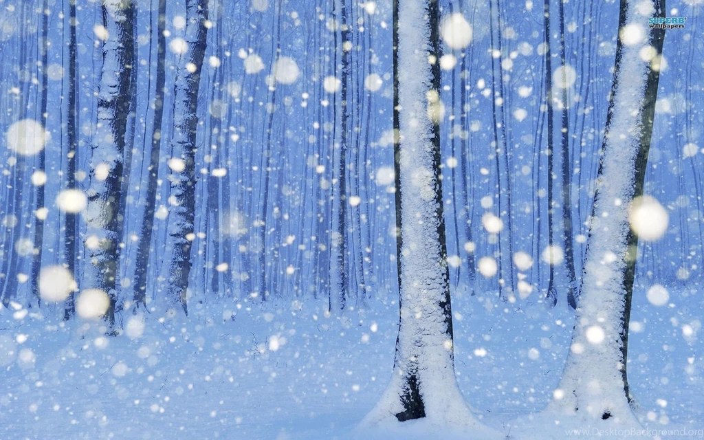 Snowy Trees Wallpapers   Artistic Wallpapers