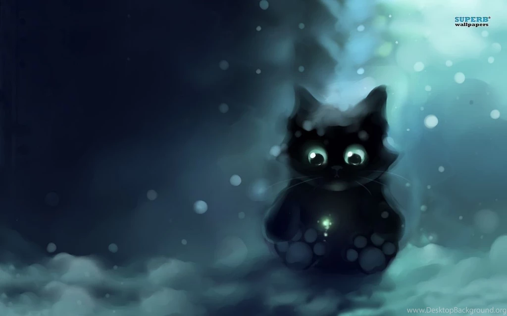 Googly Eyed Cat Wallpapers Artistic Wallpapers