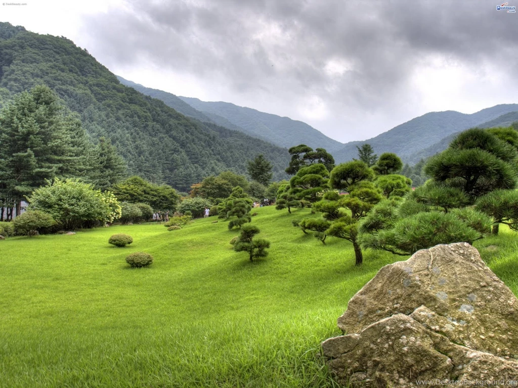 Nature Images HD Wallpapers 1908