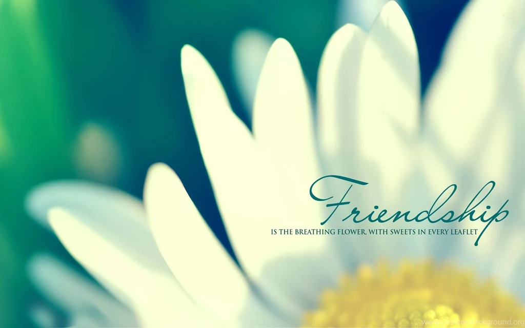Gallery For Friendship Desktop Wallpapers