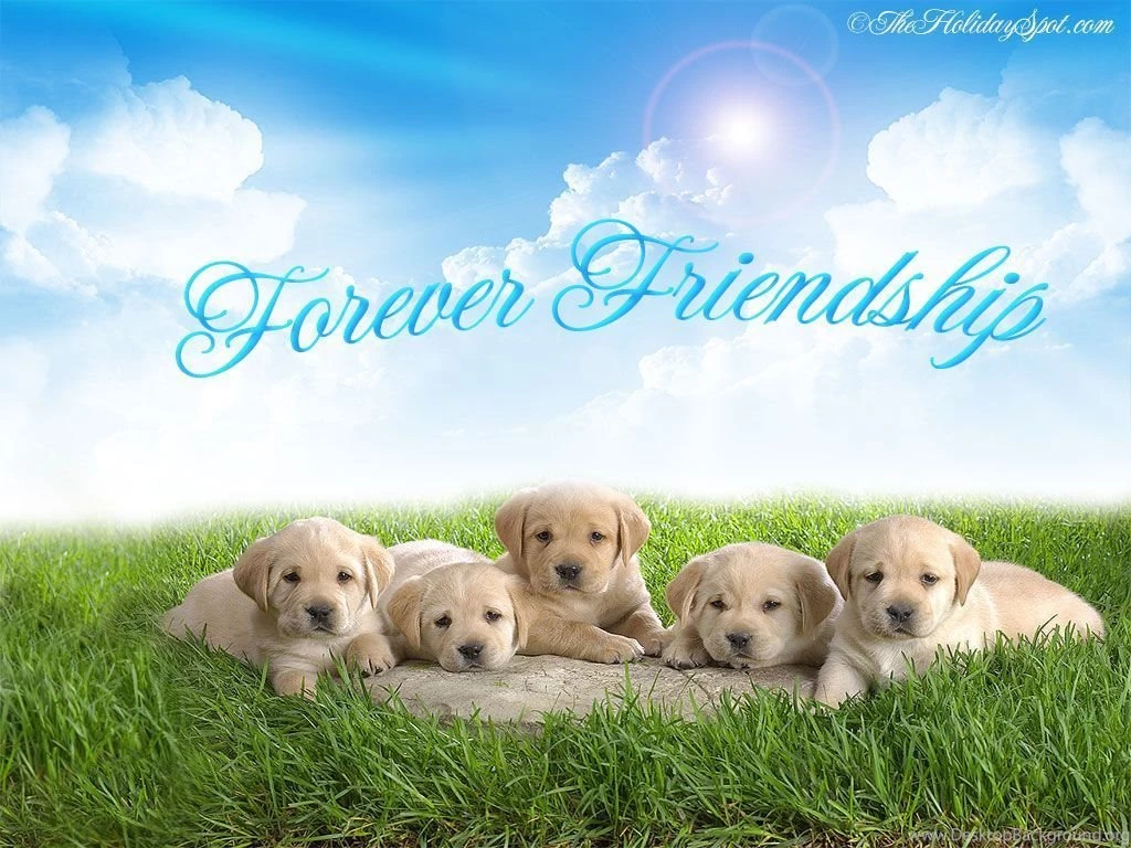 Friendship Day Wallpapers, Free.