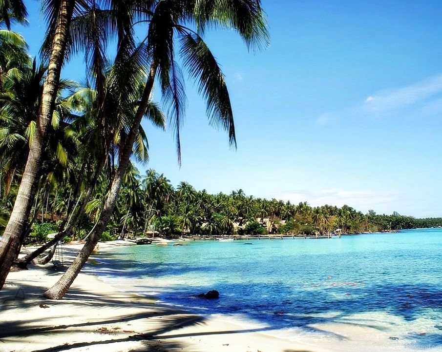 Nature Backgrounds, View, Amazing Landscape, Wallpapers Of Nature ...