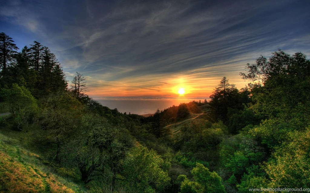 Clouds Landscapes Nature Trees Cool >> HD Wallpaper, Get It Now!