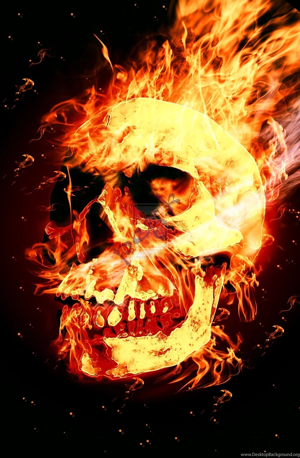 Skull On Fire Wallpapers