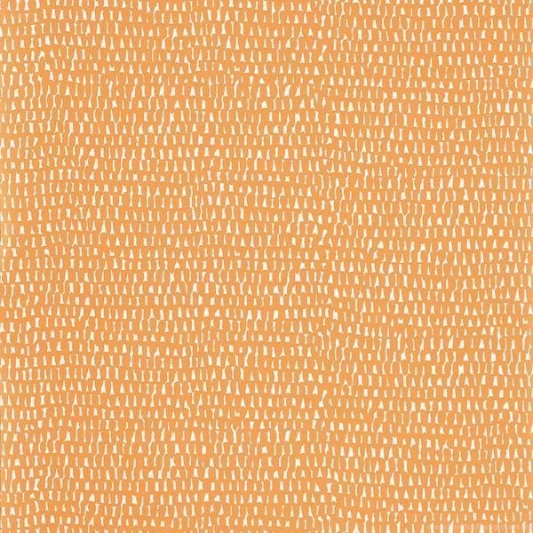 Scion Totak Wallpapers   Tangerine (74 CAD) ❤ Liked On Polyvore ...