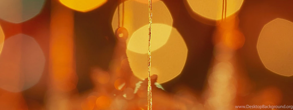 Christmas Lights, Holiday