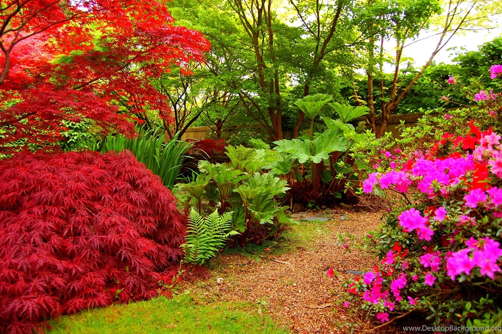 Flower Garden (