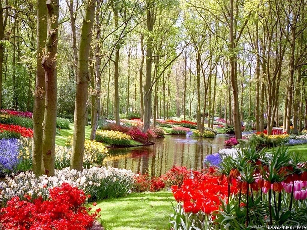 Kelly's Blog: Flower Garden Backgrounds