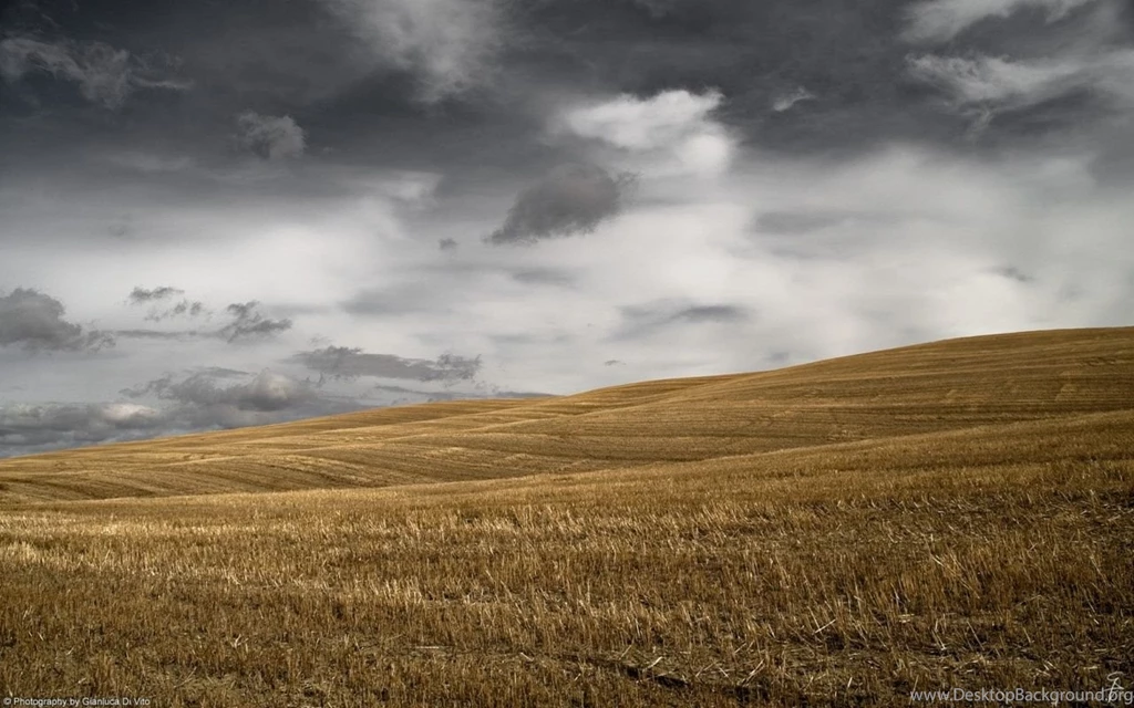 Free Desktop Wallpapers
