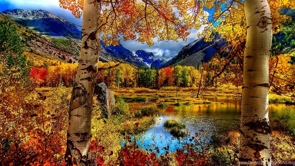 Fall Wallpapers Hd Wallpapers 1296647