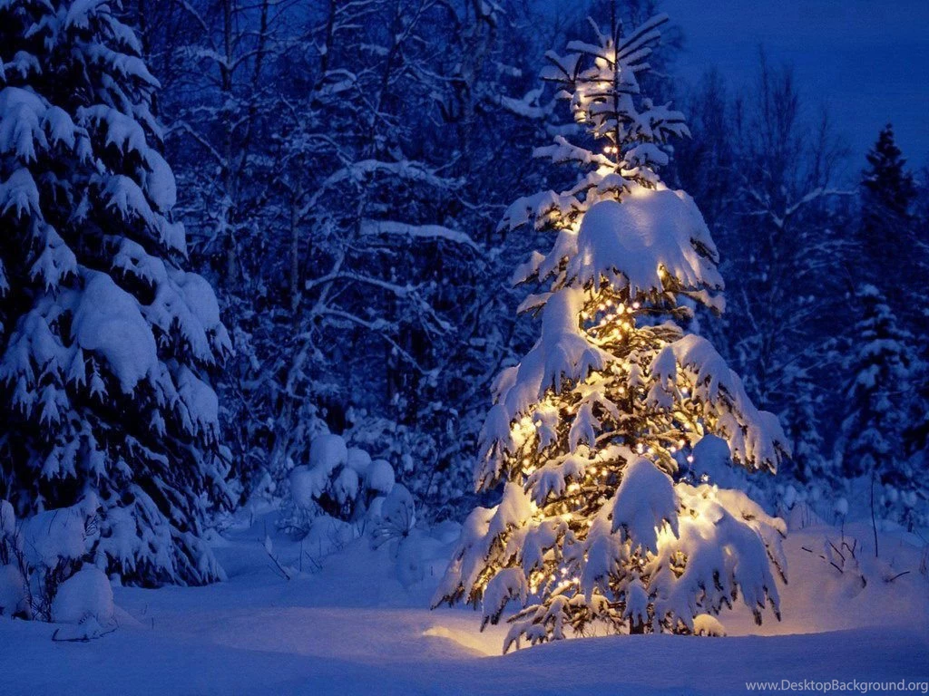 Gallery For Free Wallpapers Holidays