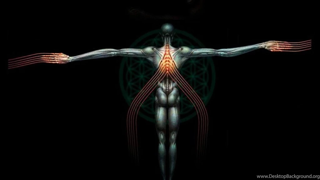 Tool Wallpapers (