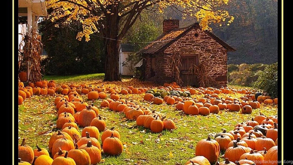 Autumn Harvest Wallpapers Widescreen Wallpaper.