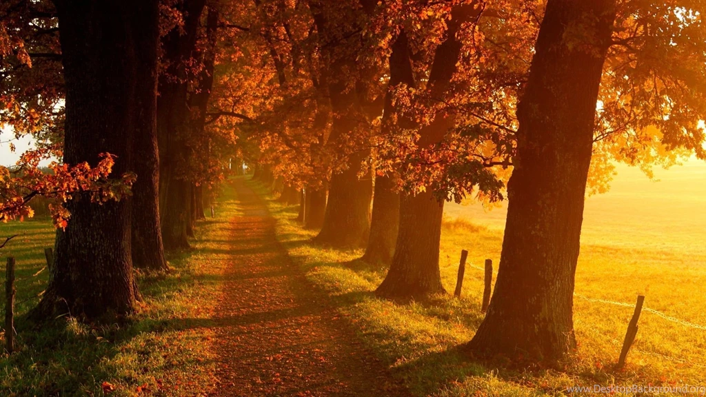 Download Autumn Wallpapers Desktop