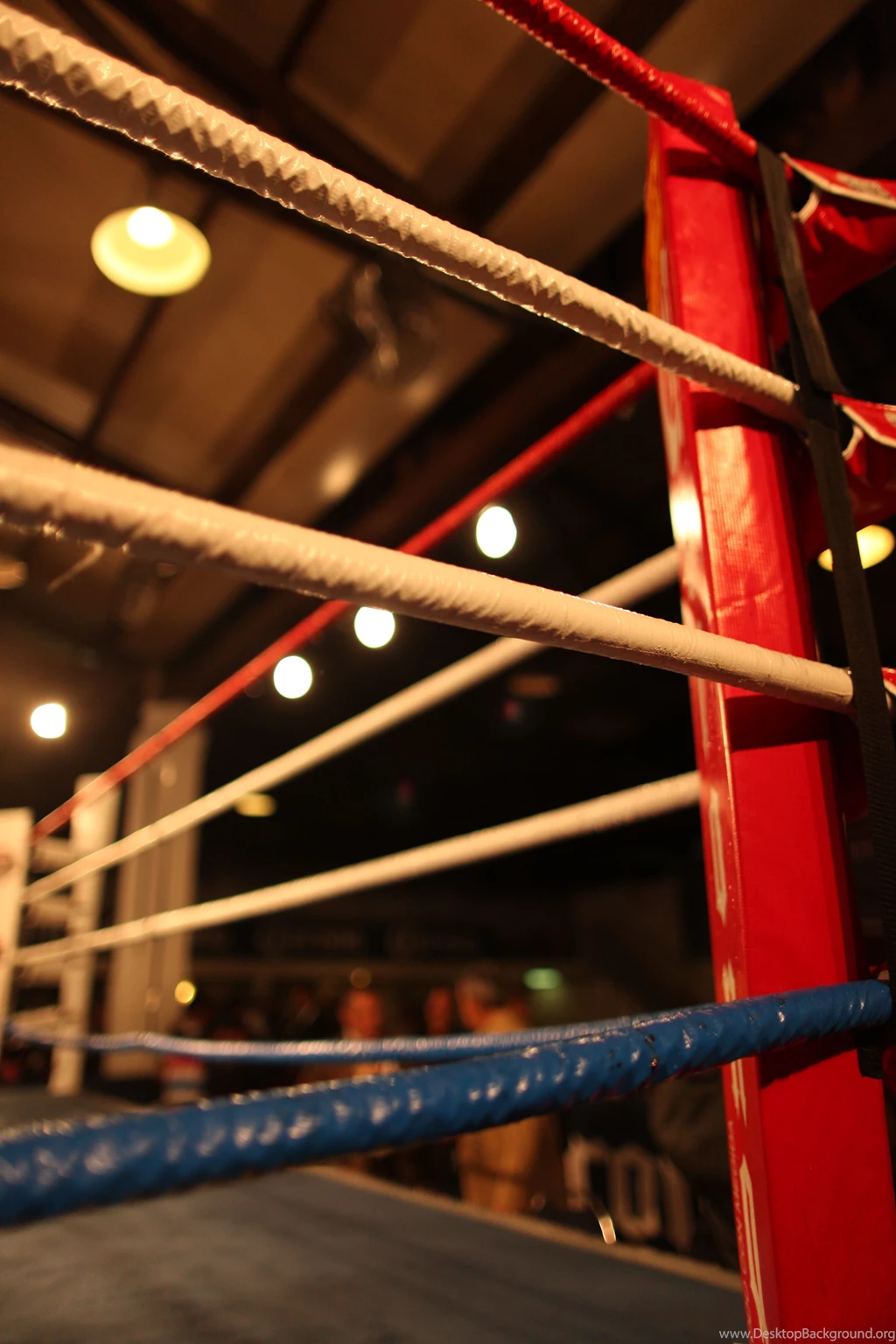 If Your Self compassion And Self criticism Were In A Boxing Match ...