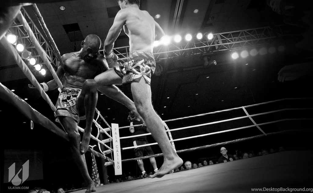 Wallpaper: Wallpapers Boxing