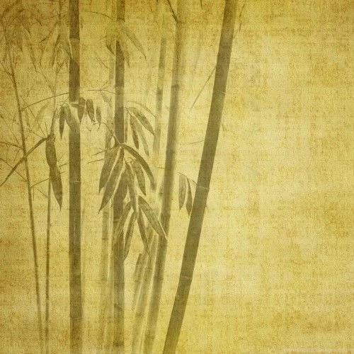Bamboo