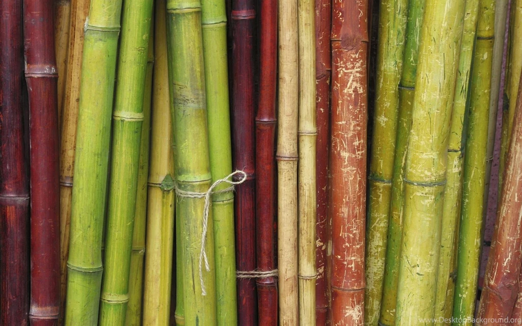 Bamboo Wide 1680x1050