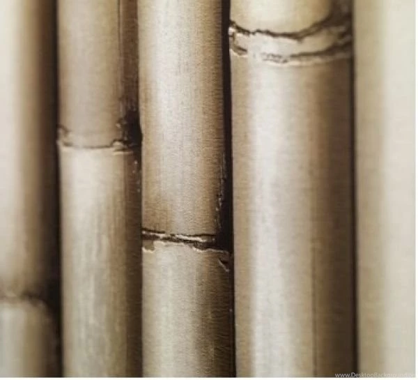 Koziel Bamboo Trompe L'oeil Wallpapers By Couture Déco