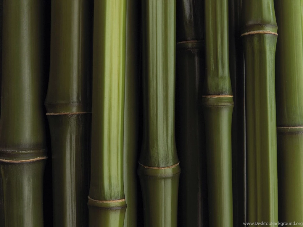 Bamboo Textured Wallpapers 2015 Grasscloth Wallpapers