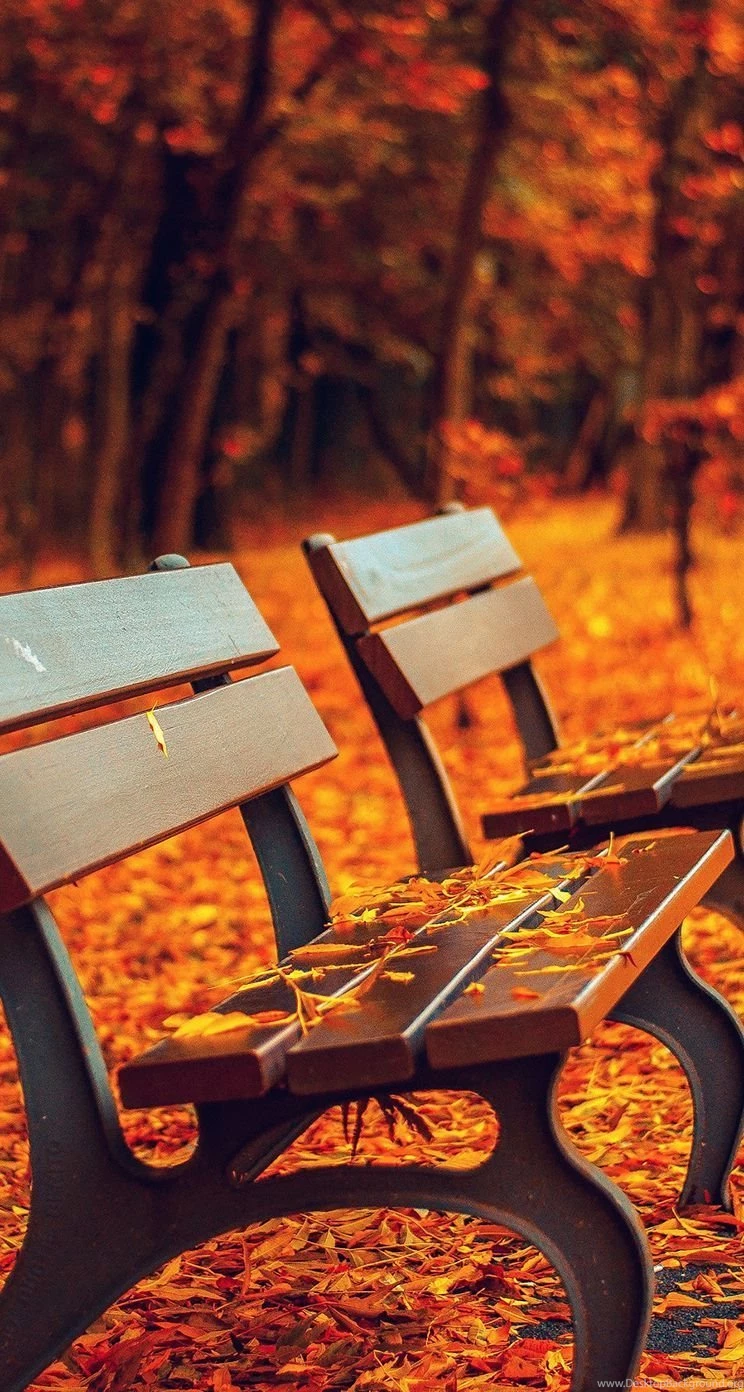 Fall iPhone 5s Wallpapers