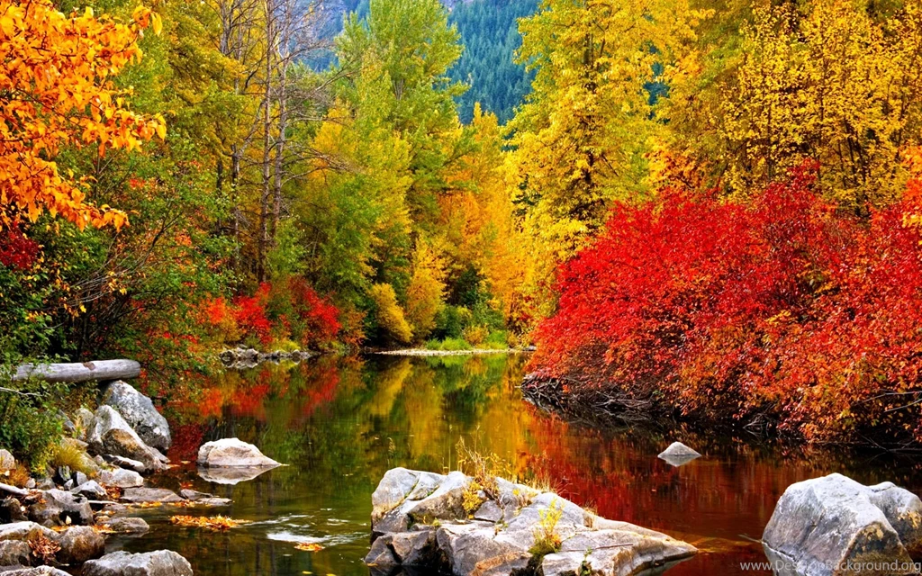 High Resolution Fall Wallpapers Forest Photos Of Better Computer ...