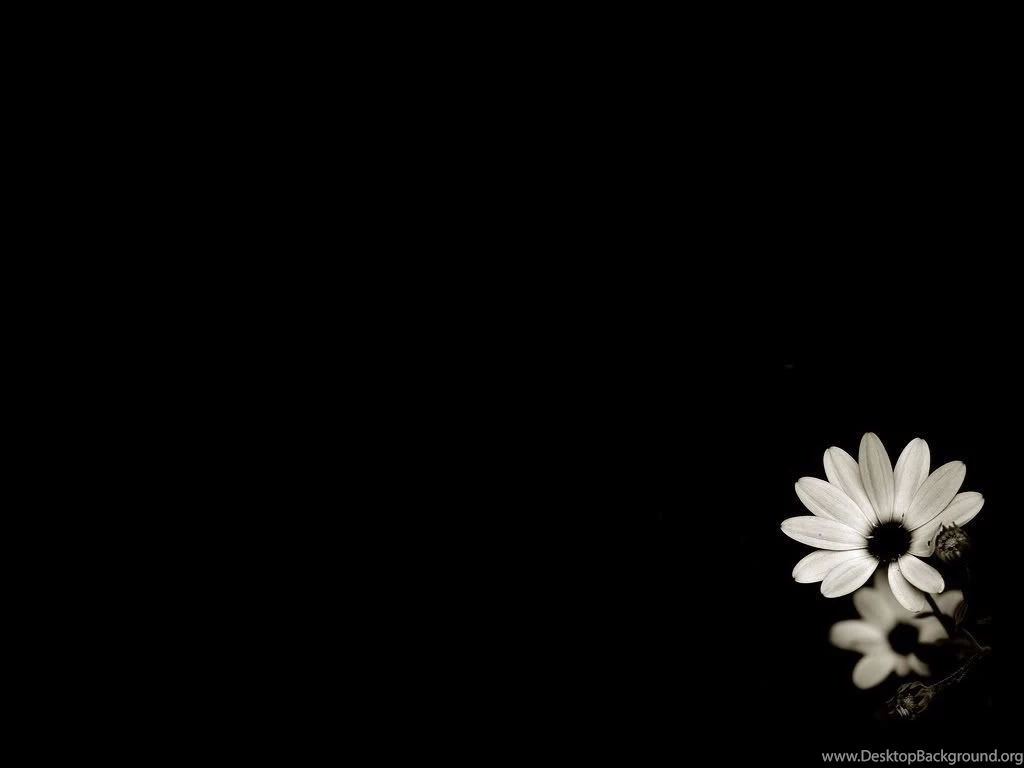 Gallery For Black And White Flower Wallpapers Desktop