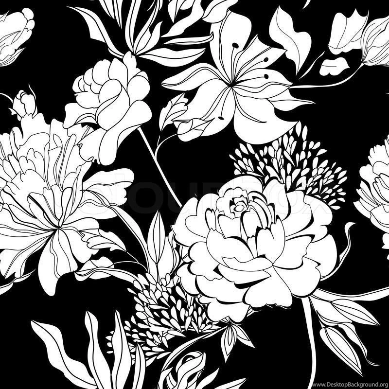 Decorative Seamless Wallpapers With White Flowers On Black ...