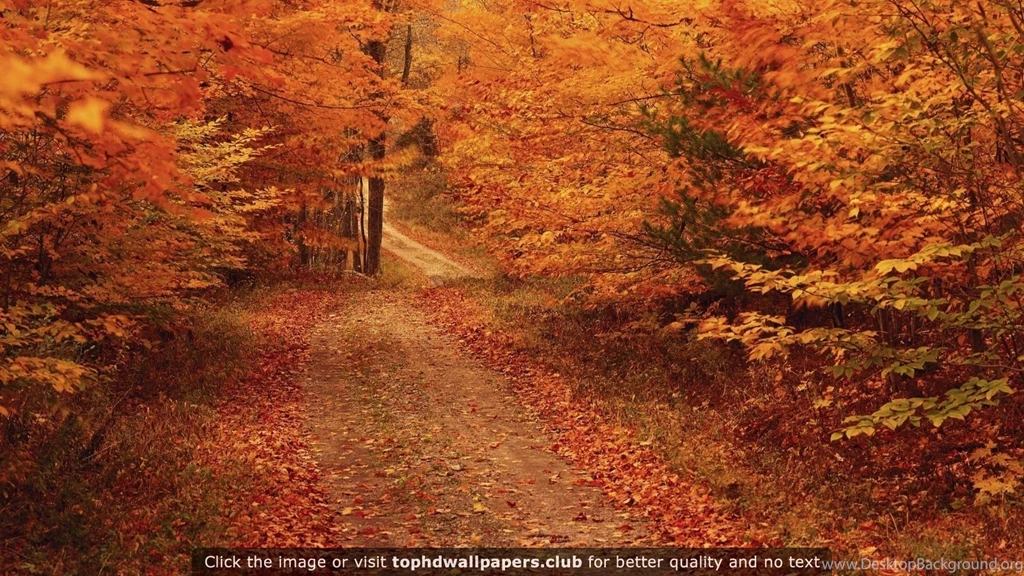 Page 3 Of Best Fall 4K Or HD Wallpapers
