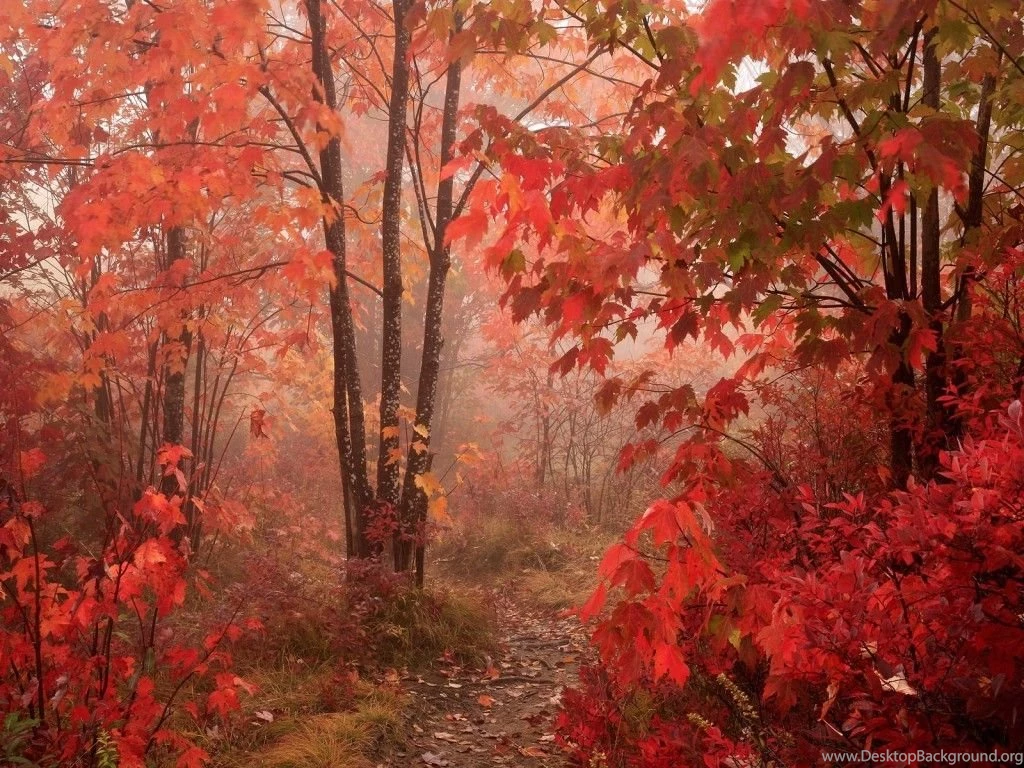 Nature Images HD Wallpapers 1829