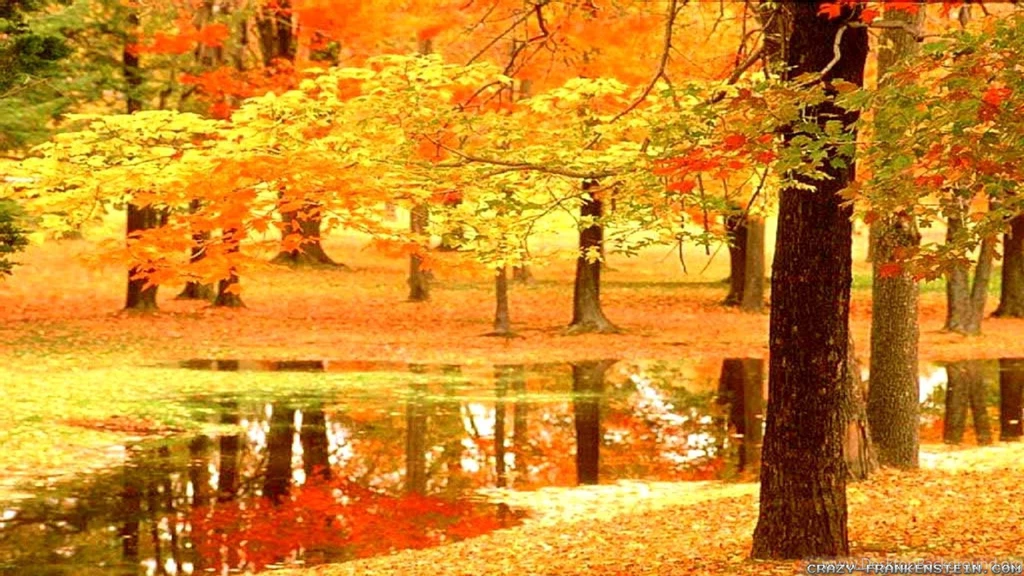 Autumn In France Wallpapers Seasonal Crazy Frankenstein
