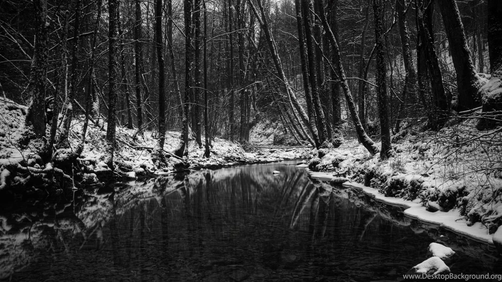 Black White Winter Scene HD Wallpapers