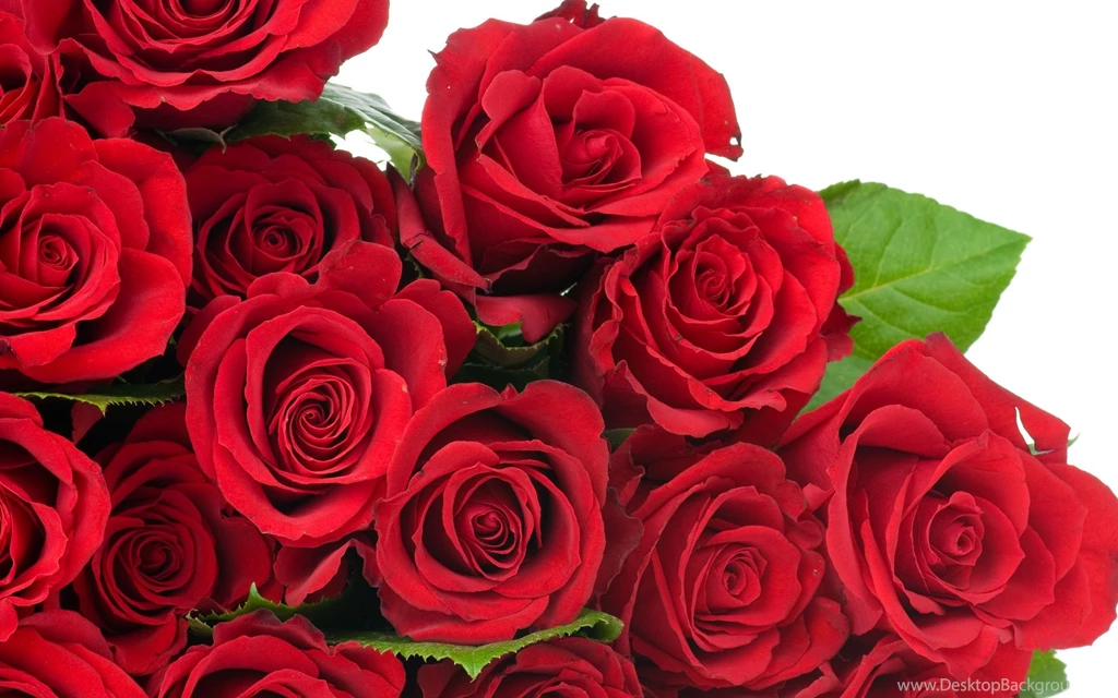 Flower Bokeh Images And Wallpapers Download