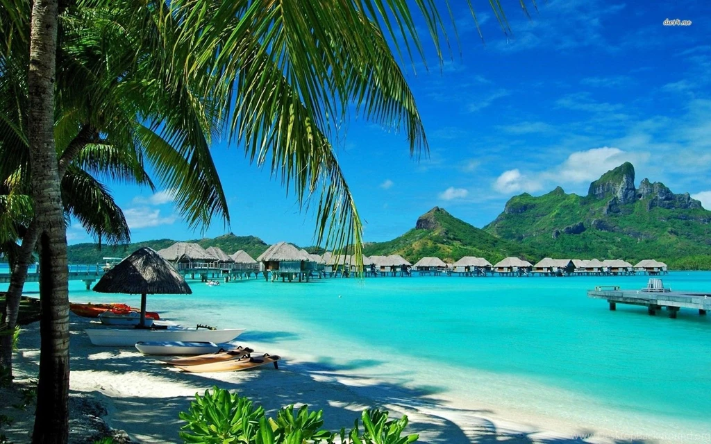 Gallery For Wallpapers Beach Hawaii