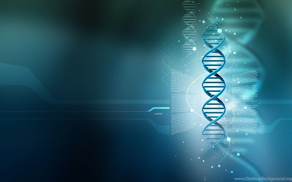 The Future Formula One Wallpapers   BACKGROUND WALLPAPER ...